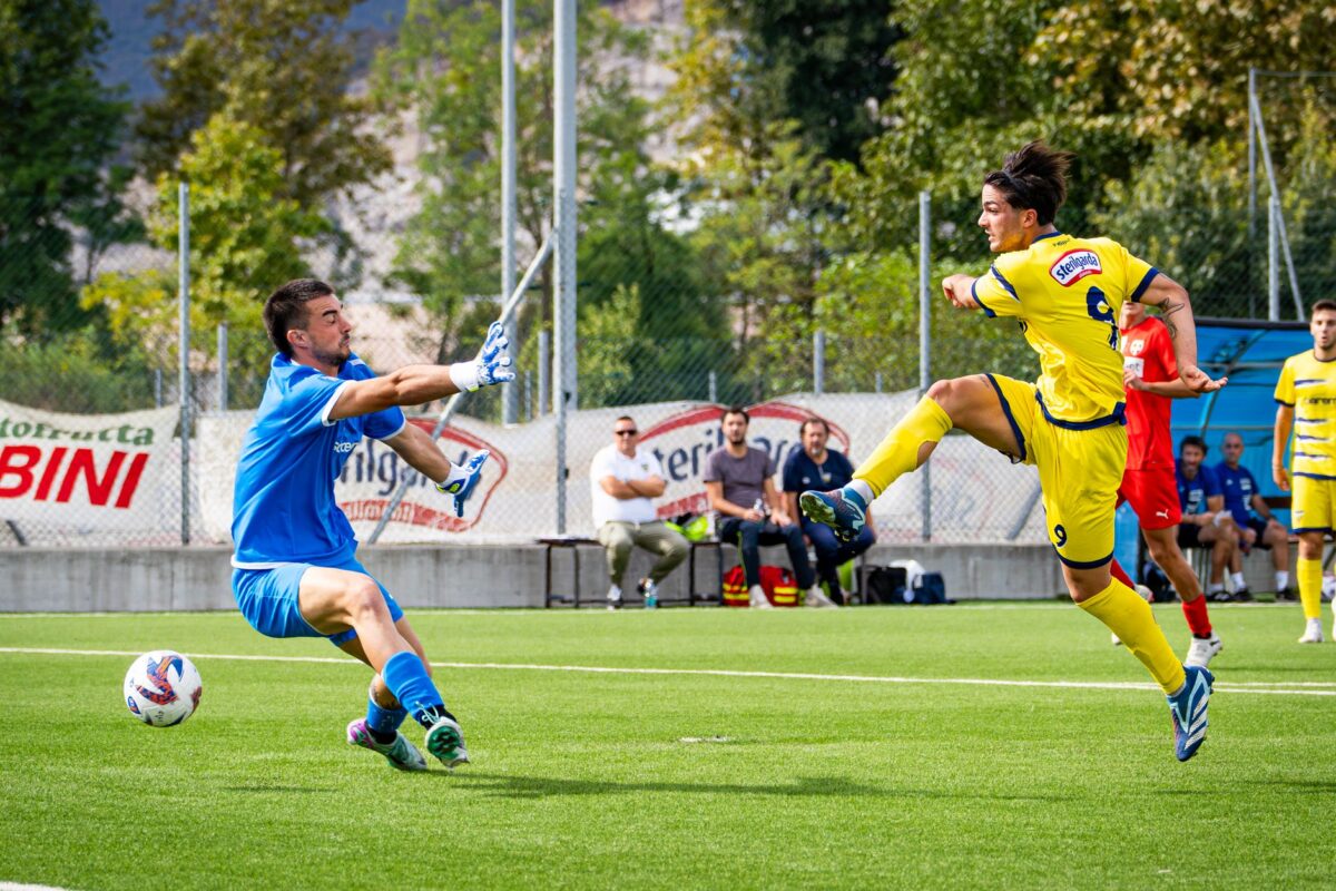 demacia cup vitality affronte kt